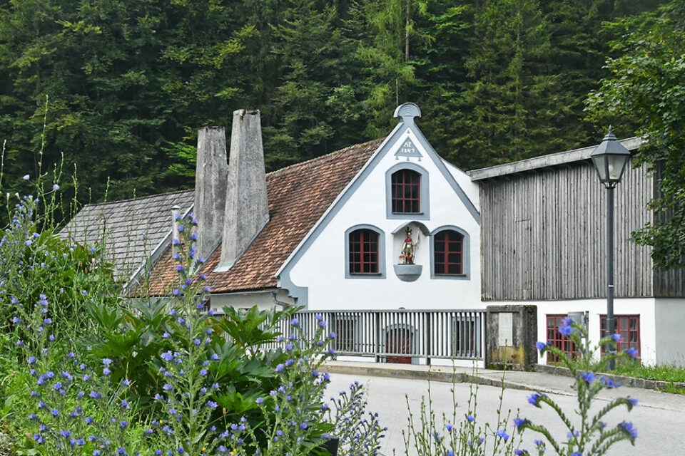 Schmiedetag in Ybbsitz 3 DSC 7453